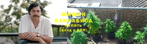 Альфа ПВП Абаза