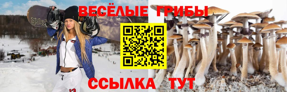 Галлюциногенные грибы мухоморы Нальчик