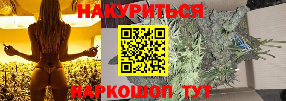 МАРИХУАНА планчик Нальчик